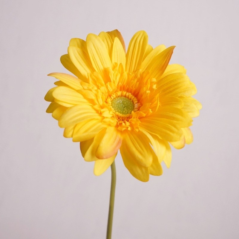 Wholesale Artificial Gerbera Stem – 65cm Long Stem
