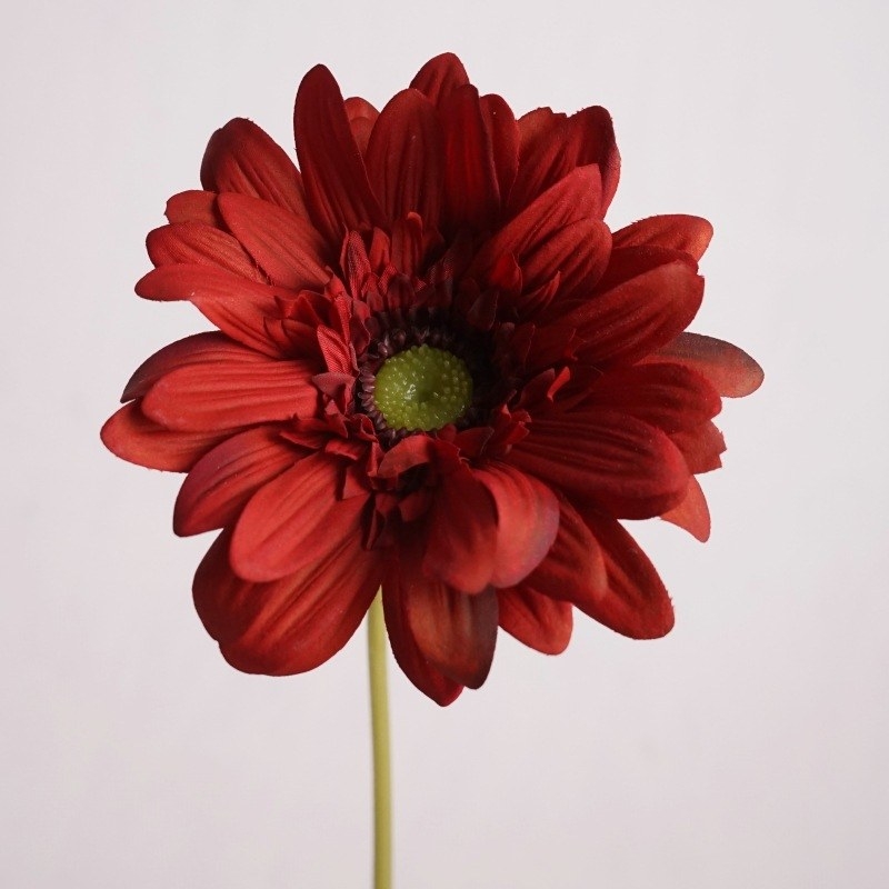 Wholesale Artificial Gerbera Stem – 65cm Long Stem