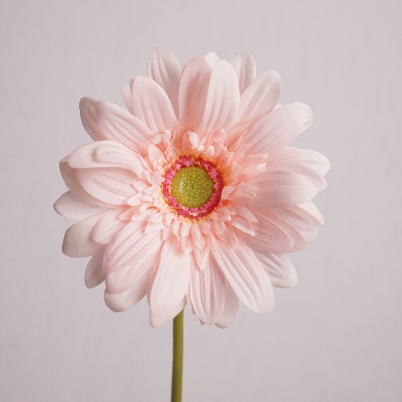 Wholesale Artificial Gerbera Stem – 65cm Long Stem