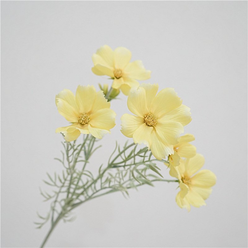 Wholesale Artificial Cosmos Spray – 65cm 5-Flower Branch