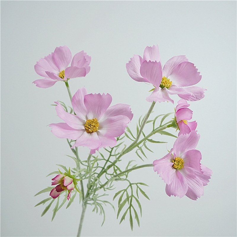 Wholesale Artificial Cosmos Spray – 65cm 5-Flower Branch