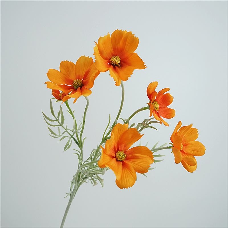 Wholesale Artificial Cosmos Spray – 65cm 5-Flower Branch