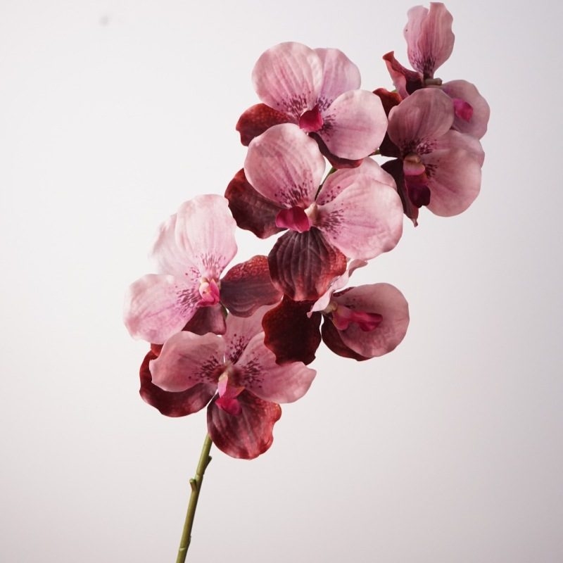 Artificial soft-touch realistic Vanda orchid