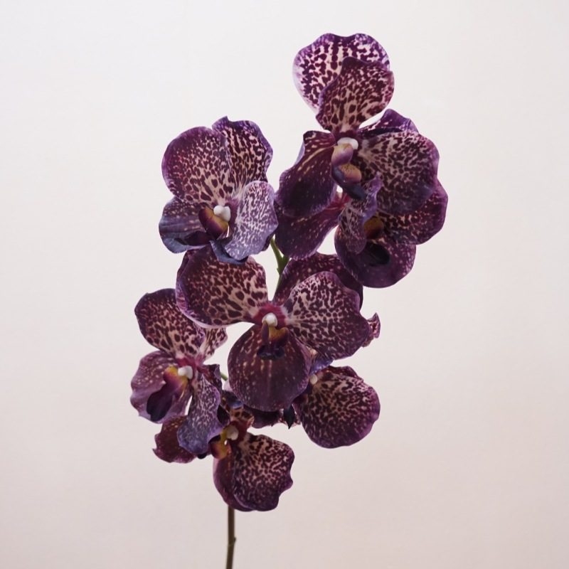 Artificial soft-touch realistic Vanda orchid
