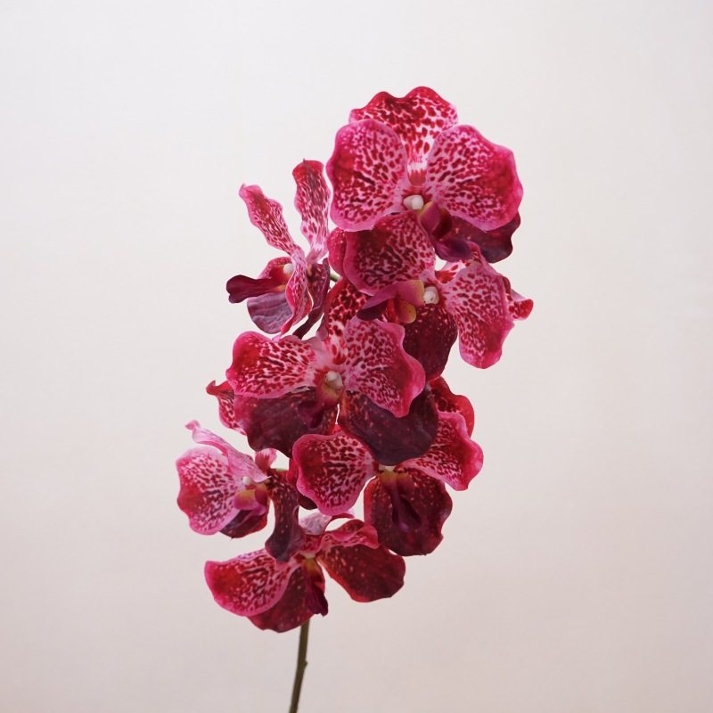 Artificial soft-touch realistic Vanda orchid