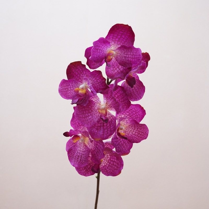 Artificial soft-touch realistic Vanda orchid