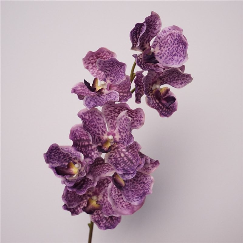 Artificial soft-touch realistic Vanda orchid