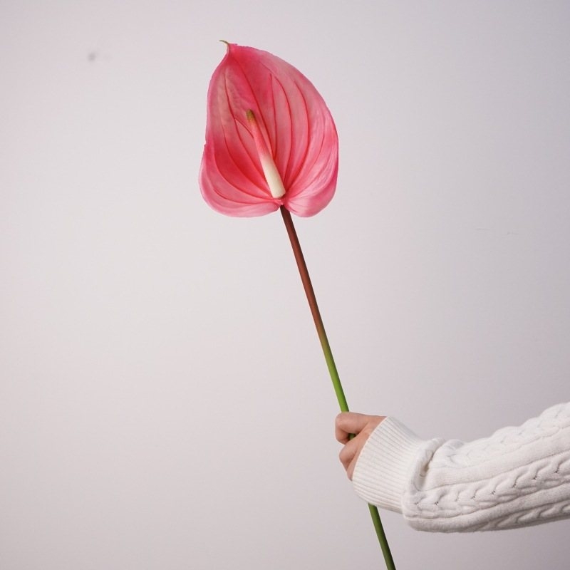 Artificial lifelike Anthurium