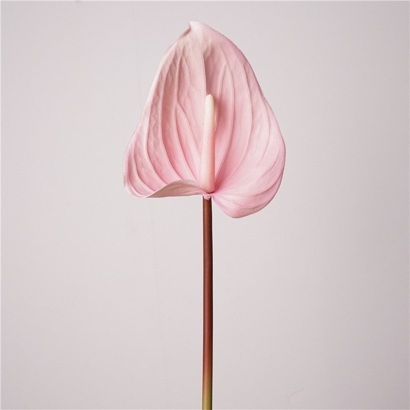 Artificial lifelike Anthurium