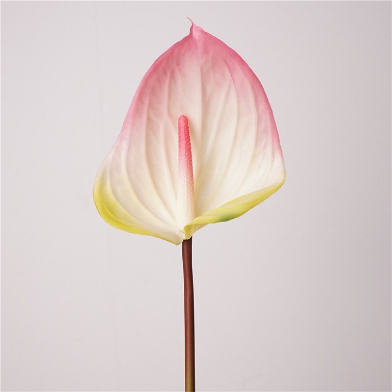 Artificial lifelike Anthurium
