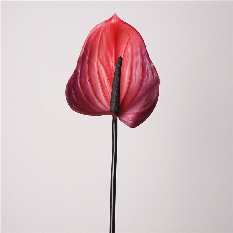 Artificial lifelike Anthurium