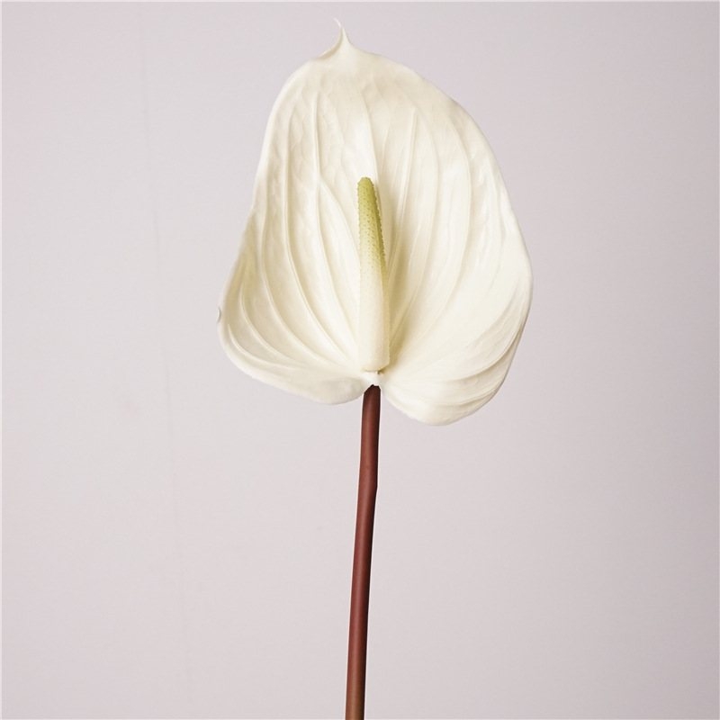 Artificial lifelike Anthurium
