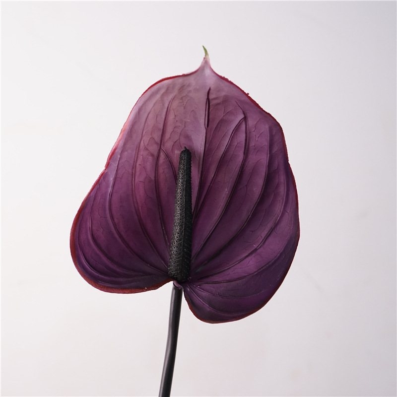 Artificial lifelike Anthurium
