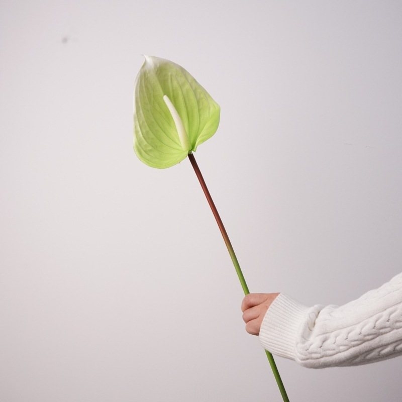 Artificial lifelike Anthurium