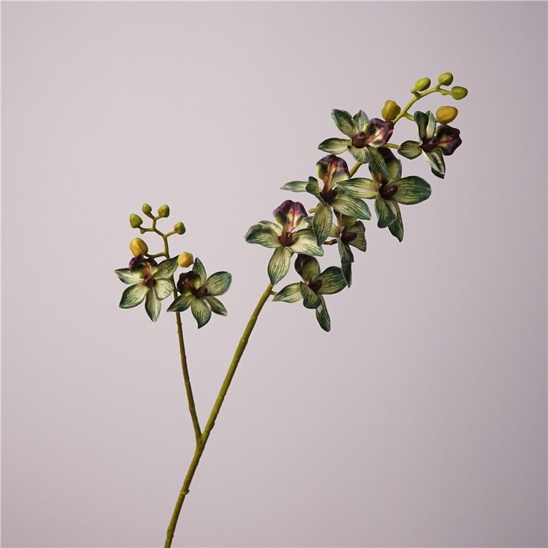 Realistic Phalaenopsis orchid with two branches
