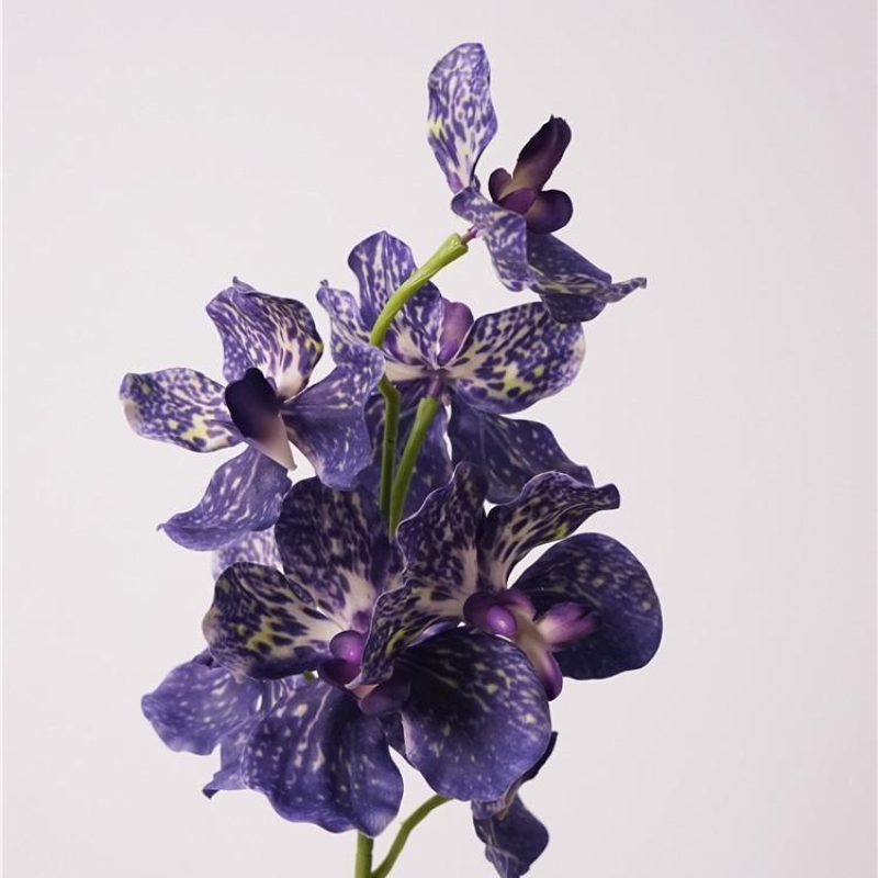 Soft-touch artificial Vanda Orchid Spray