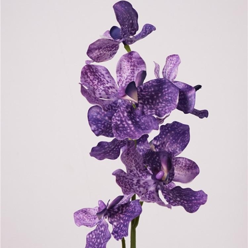 Soft-touch artificial Vanda Orchid Spray