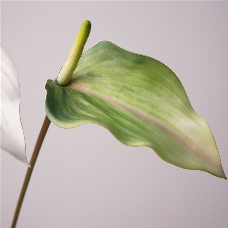 Artificial Anthurium Scherzerianum 72CM