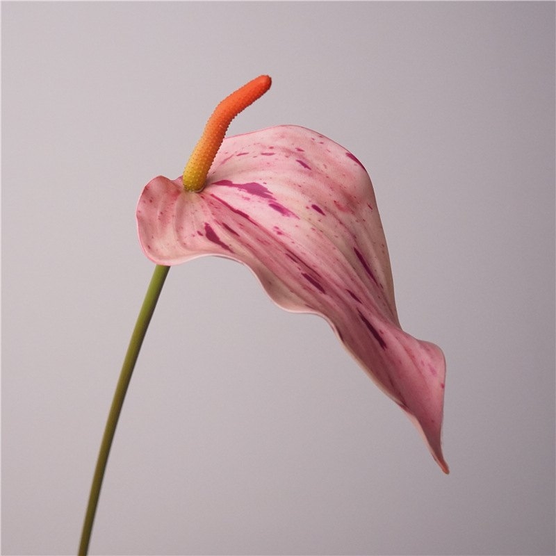 Artificial Anthurium Scherzerianum 72CM