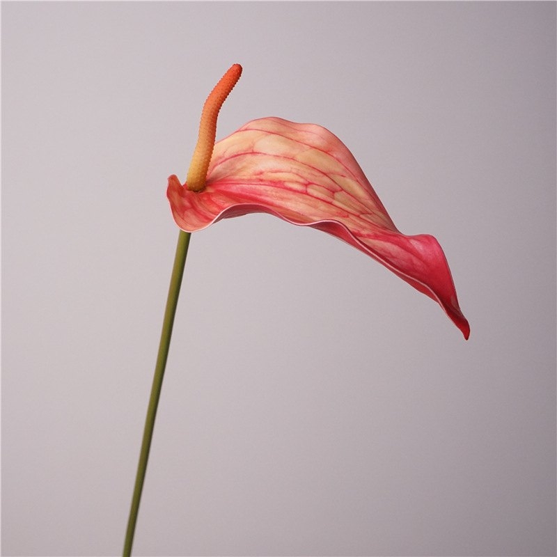 Artificial Anthurium Scherzerianum 72CM