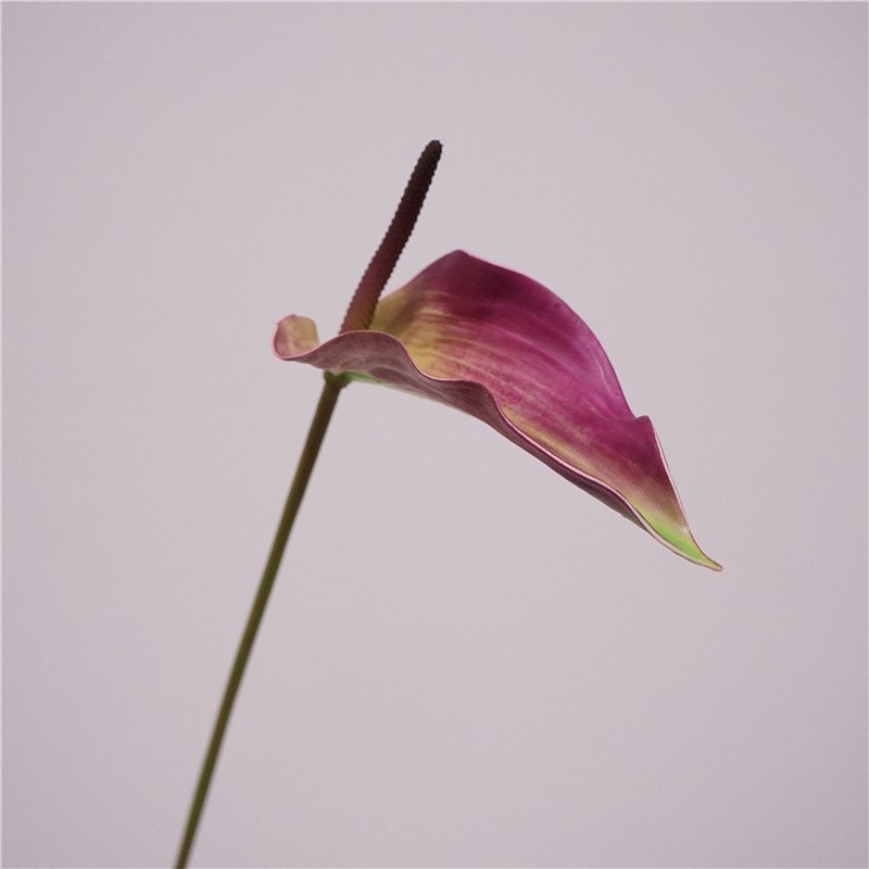 Artificial Anthurium Scherzerianum 72CM