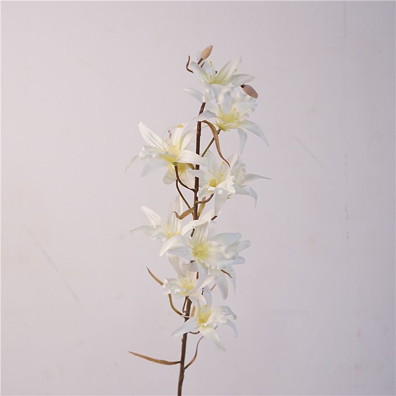 Artificial Australian Dendrobium