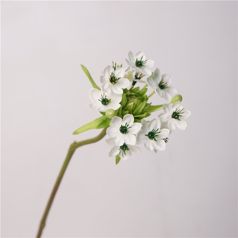 Artificial Ornithogalum thyrsoides