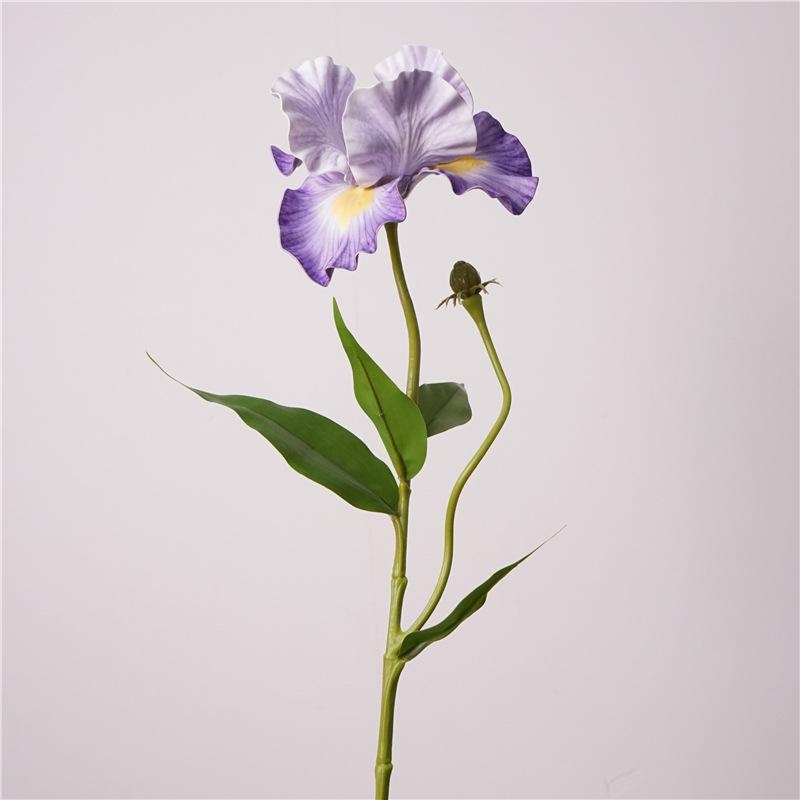 Artificial Iris