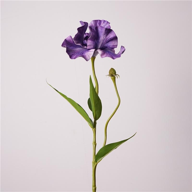 Artificial Iris