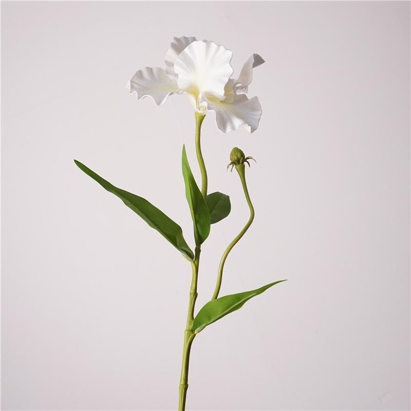 Artificial Iris