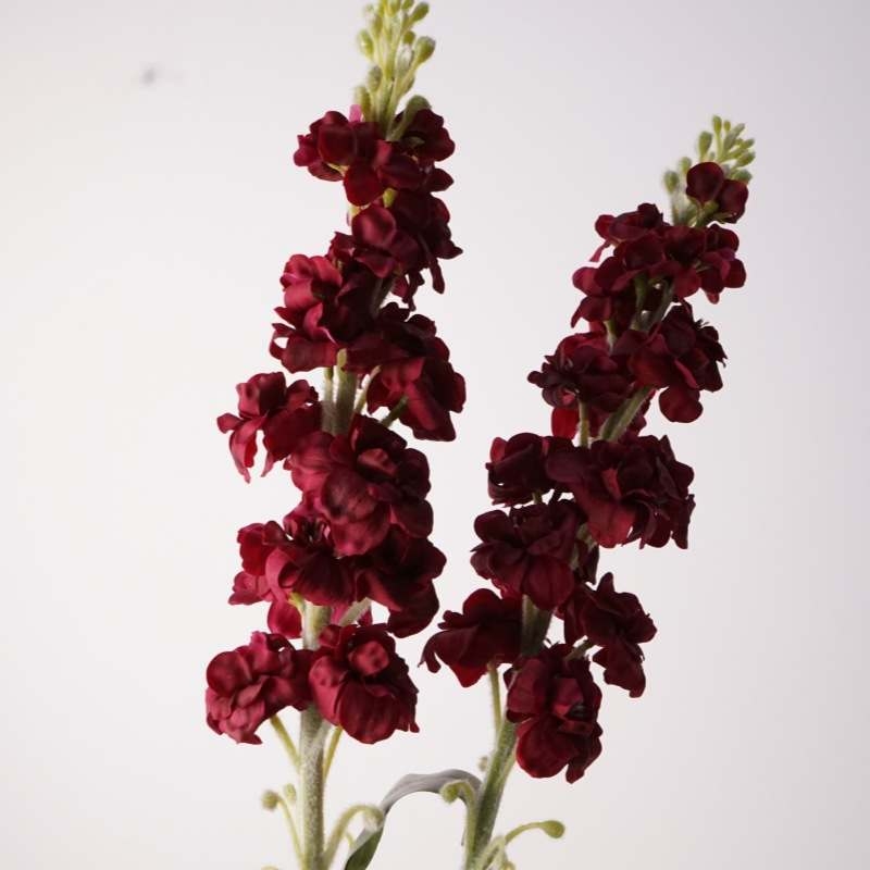 Soft-touch artificial violet