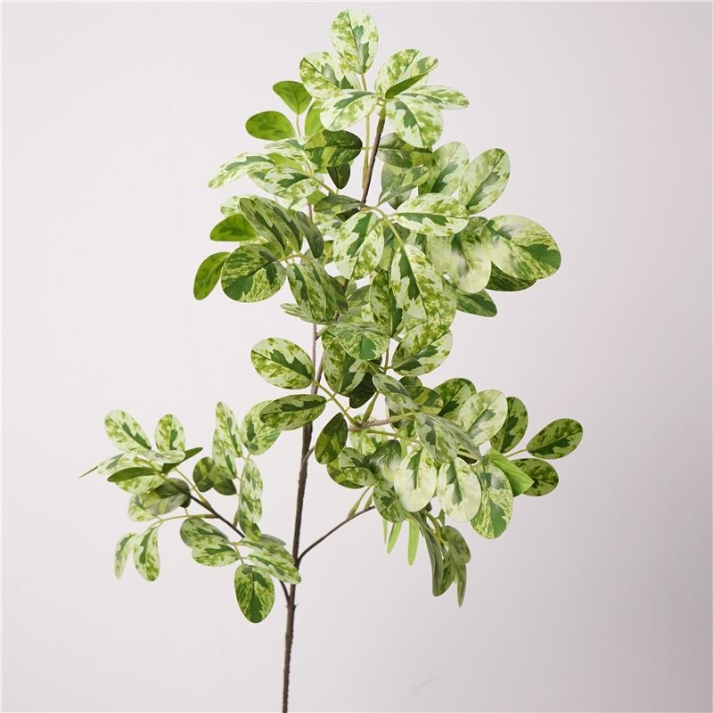 Artificial broad bean leaves