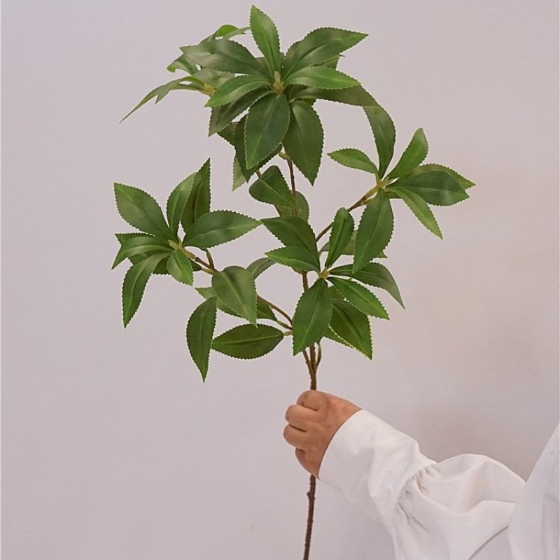 Artificial Japanese Pieris