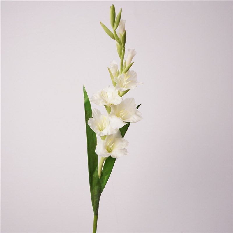 High-quality Faux gladiolus