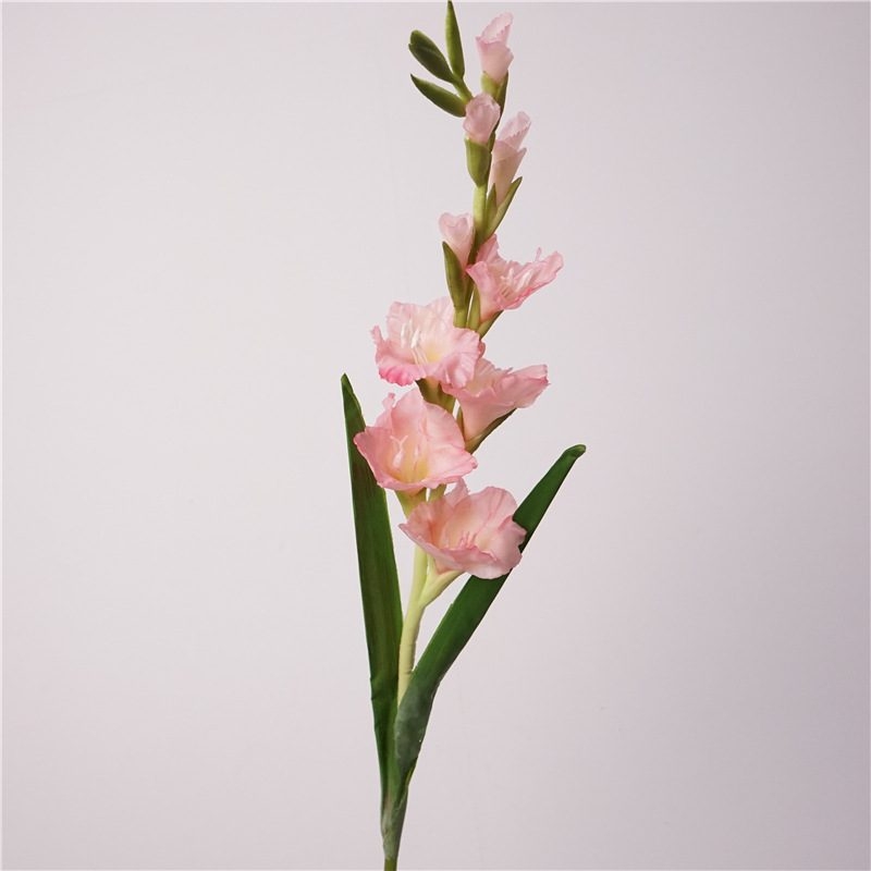 High-quality Faux gladiolus