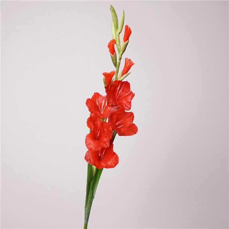 High-quality Faux gladiolus