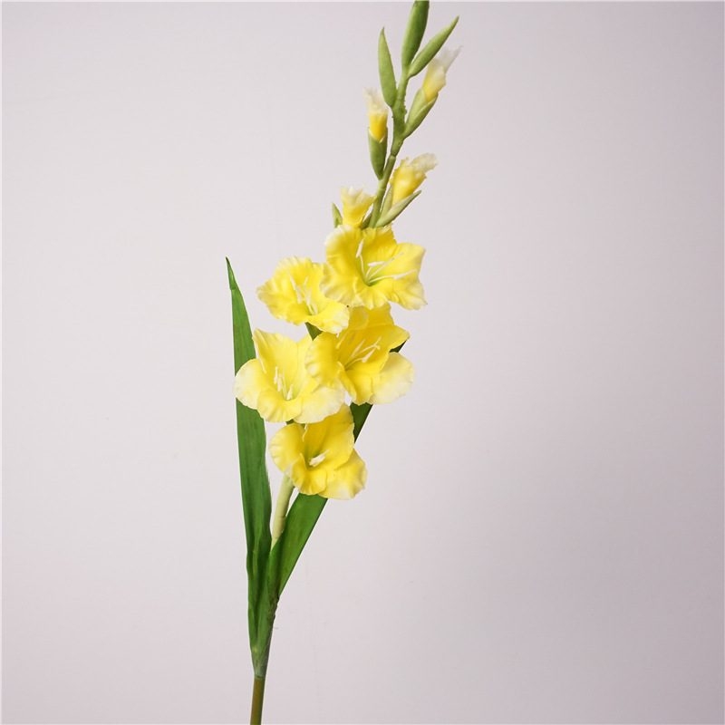 High-quality Faux gladiolus