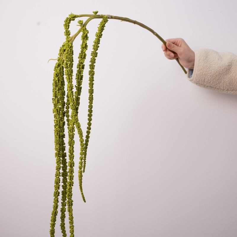 Artificial amaranth without leaf