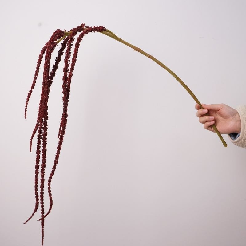 Artificial amaranth without leaf