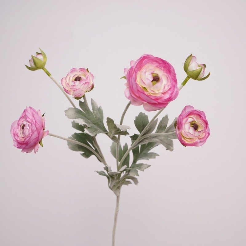 Realistic Ranunculus Wholesale