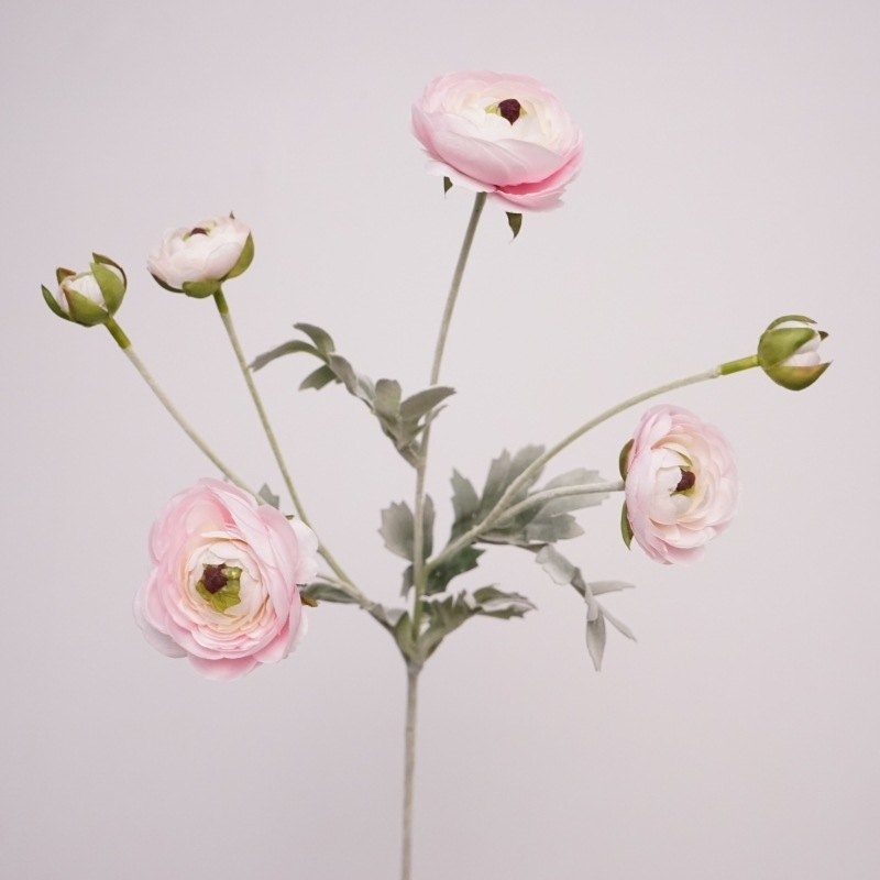 Realistic Ranunculus Wholesale