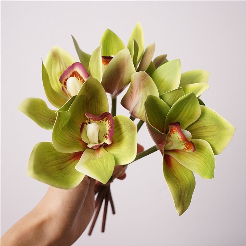 Realistic Cymbidium Orchid Bunch