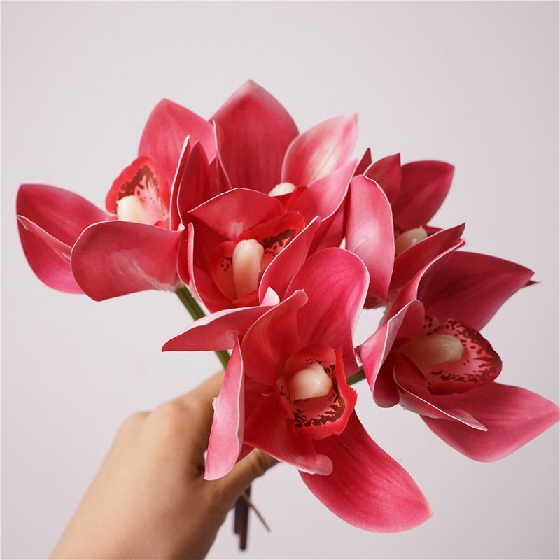Realistic Cymbidium Orchid Bunch