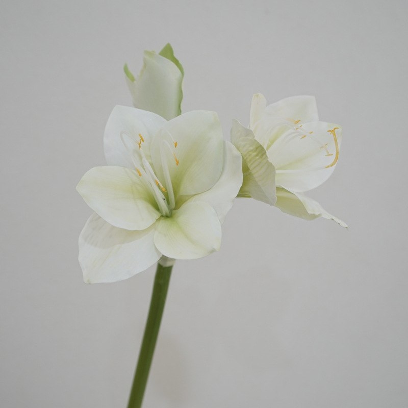 Artificial Clivia