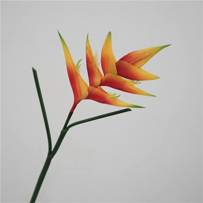 Realistic Heliconia