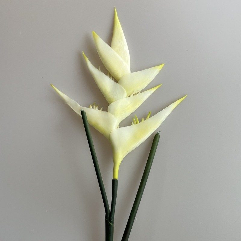 Realistic Heliconia