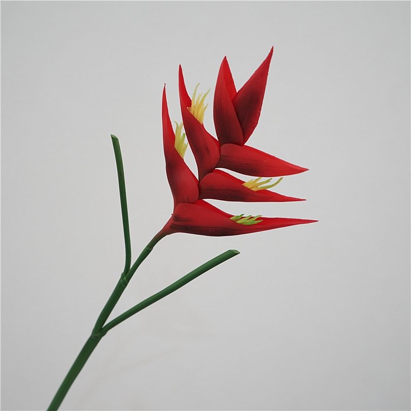 Realistic Heliconia
