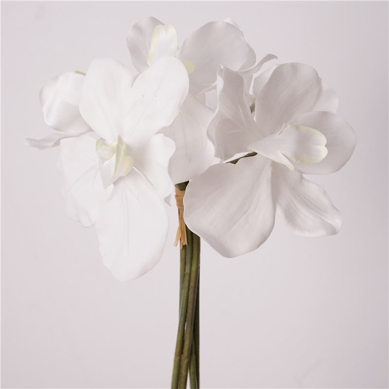 Soft touch Vanda orchid bunch