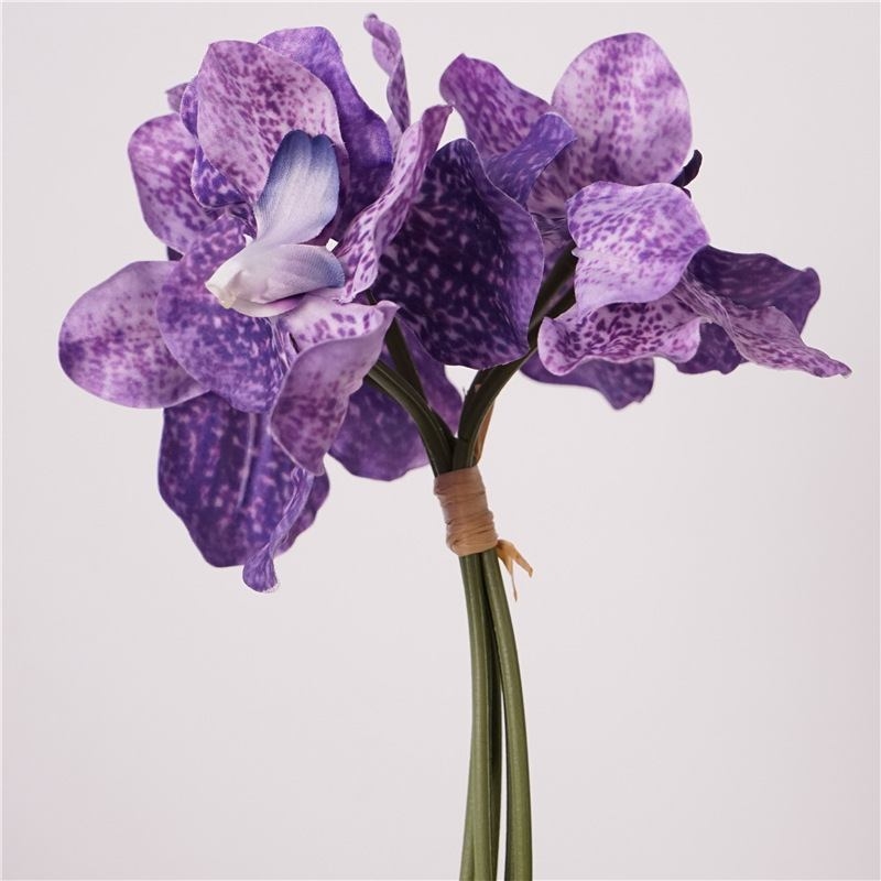 Soft touch Vanda orchid bunch