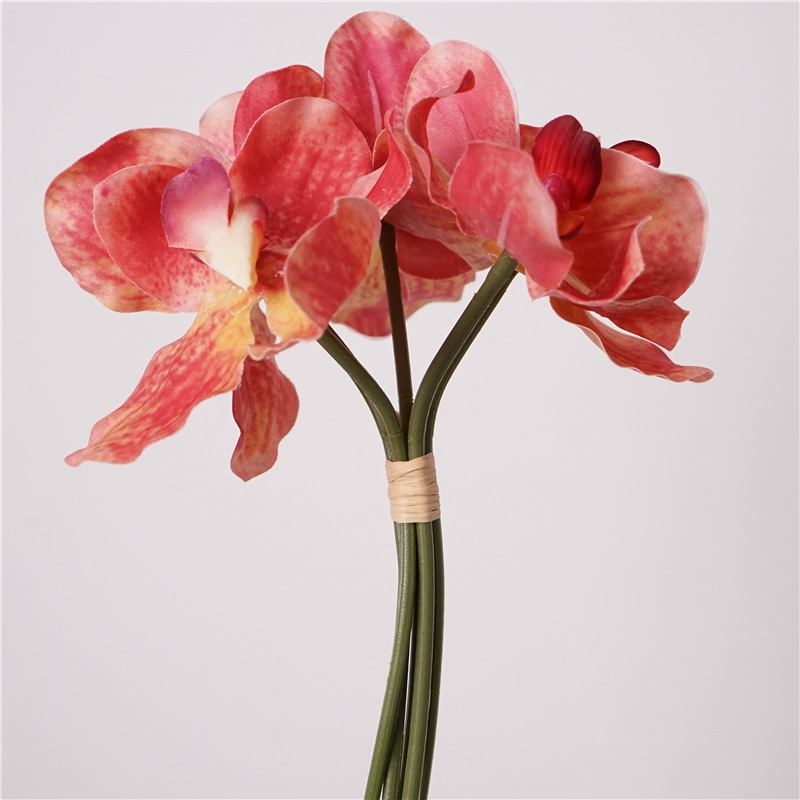 Soft touch Vanda orchid bunch